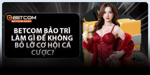 Betcom Bảo Trì – Làm Gì Để Không Bỏ Lỡ Cơ Hội Cá Cược?