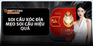 Soi Cầu Xóc Đĩa – Mẹo Soi Cầu Hiệu Quả, Trúng Thưởng Dễ Dàng