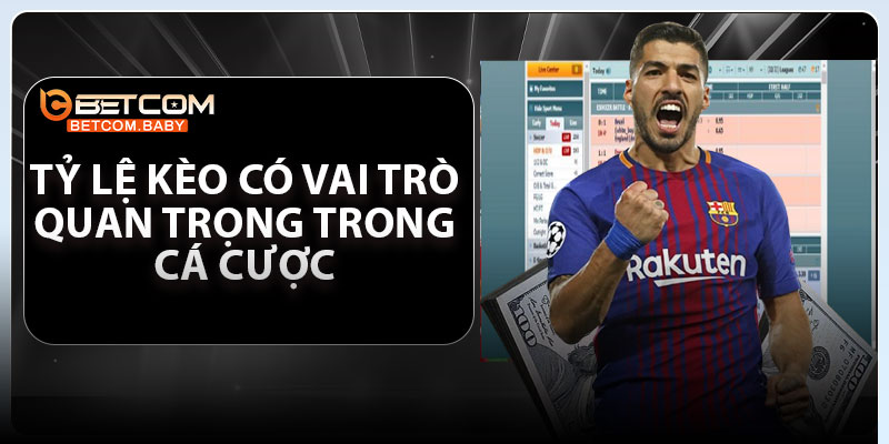 Tỷ lệ kèo có vai trò quan trọng trong cá cược